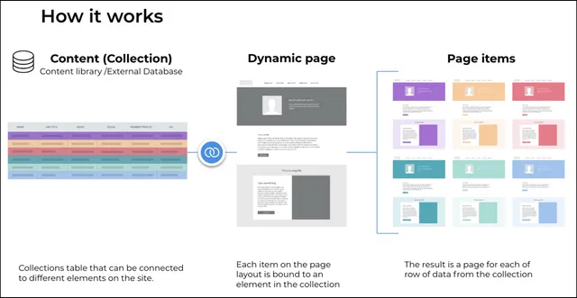 Graphic showing how Duda's dynamic pages work.