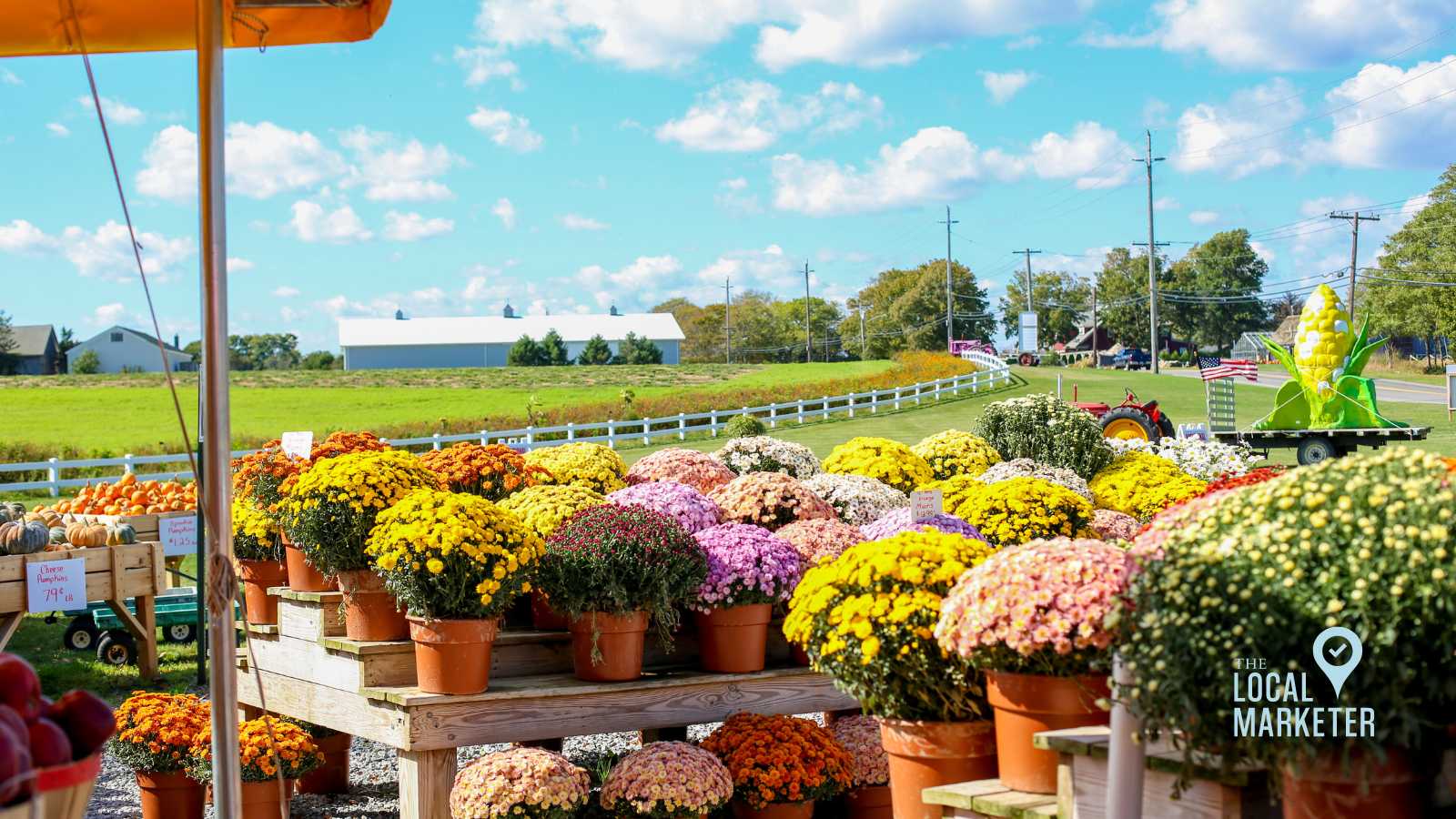 Photo of flowers being sold